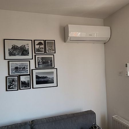Apartment Igor Lukavica エクステリア 写真