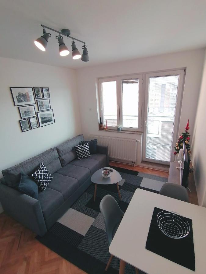 Apartment Igor Lukavica エクステリア 写真