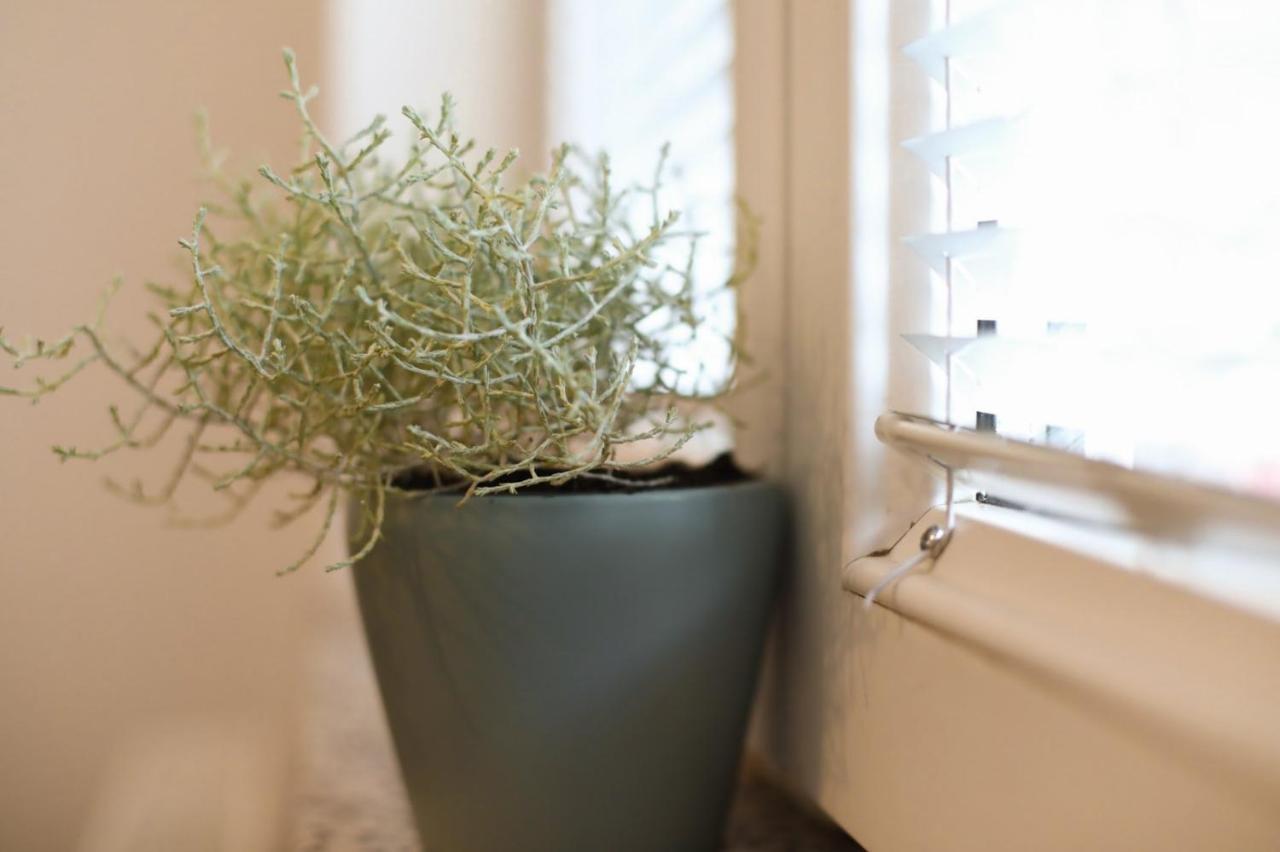 Apartment Igor Lukavica エクステリア 写真